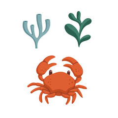Vector hand drawn illustrations of a crab and seaweeds. Sea life details for children's design.