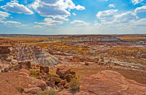 Petrified Forest National Park is a national park of the United States in Navajo and Apache counties in northeastern Arizona, famous for petrified logs, fossils, badlands,  ancient petroglyphs, painte