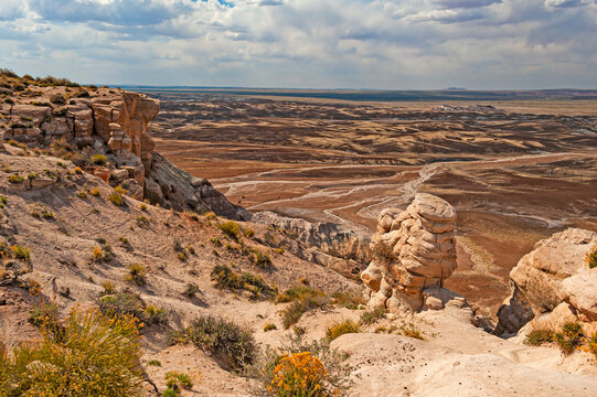 Petrified Forest National Park is a national park of the United States in Navajo and Apache counties in northeastern Arizona, famous for petrified logs, fossils, badlands,  ancient petroglyphs, painte