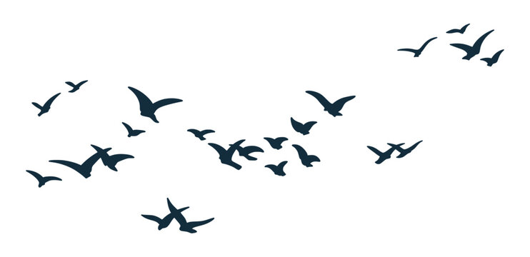 Flock of Flying Birds Silhouettes Soaring in Sky, Wildlife Freedom Grace Nature and Unity. Vector Hand Drawn Sign of Dove Migration, Clean Isolated Illustration