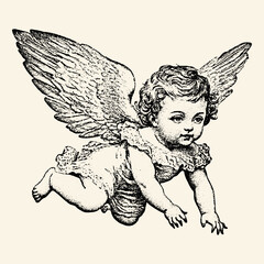 Obraz premium Vintage Cherub Angel Illustration.