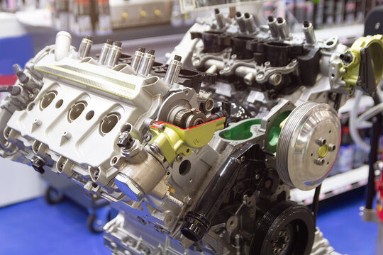 Engine cylinder block in section