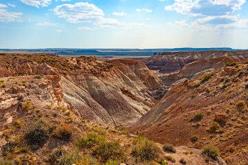 Petrified Forest National Park is a national park of the United States in Navajo and Apache counties in northeastern Arizona, famous for petrified logs, fossils, badlands,  ancient petroglyphs, painte