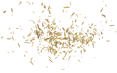dried thyme pile flying, isolated on white background, clipping path