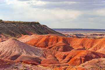 Petrified Forest National Park is a national park of the United States in Navajo and Apache counties in northeastern Arizona, famous for petrified logs, fossils, badlands,  ancient petroglyphs, painte