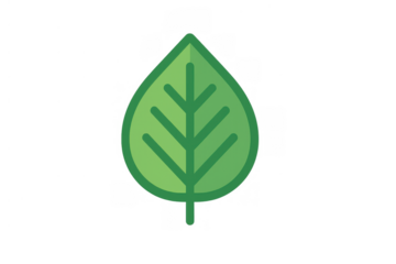 Green leaf icon representing nature, ecology, environment, growth, and sustainability with a transparent background