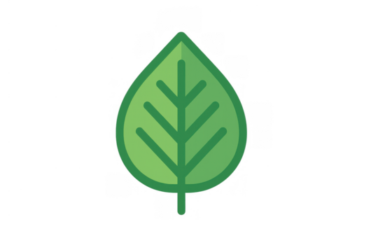 Green leaf icon representing nature, ecology, environment, growth, and sustainability with a transparent background