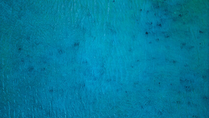 Water Texture Blue Sea Atlantic Ocean Paradisiacal Tropical Beach With Coast Surrounded By Atlantic Forest Angra Reis Rio Janeiro Brazil South America Idyllic Landscape Summer Travel Destination