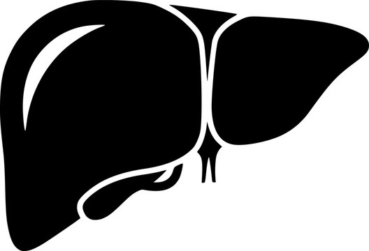black liver silhouette on white background clip art preview