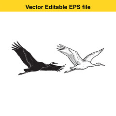 Obraz premium Two cranes flying, one in silhouette and one detailed