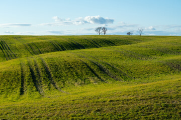 Naklejka premium Late autumn meadow, waves of light and shadow on the hills