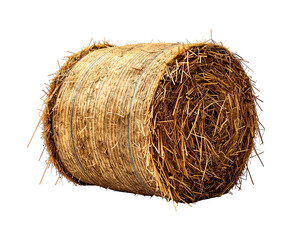 Golden, cylindrical bundle of dried grass