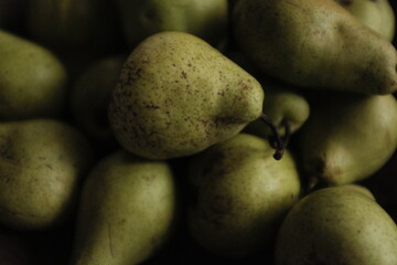 Organic farm green pears, autumn harvest. Not perfect uneven small pears organically grown without pesticides. Aesthetic artistic photo.