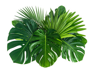 Lush green foliage arrangement on black