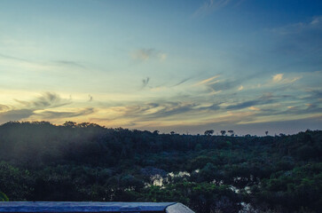 Amazon Rainforest Sky