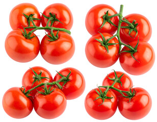 Ripe red tomatoes on vines
