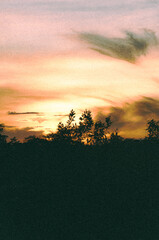 Amazon Rainforest Sky