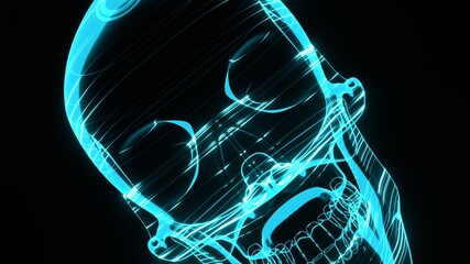 A holographic skull with a wireframe design. 
Perfect for futuristic, sci-fi, or dark-themed visuals.