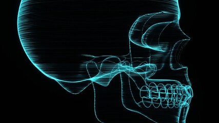 A holographic skull with a wireframe design. 
Perfect for futuristic, sci-fi, or dark-themed visuals.