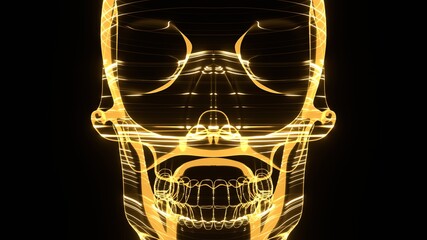 A holographic skull with a wireframe design. 
Perfect for futuristic, sci-fi, or dark-themed visuals.