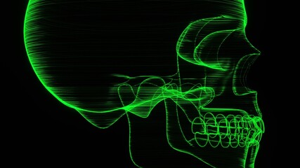 A holographic skull with a wireframe design. 
Perfect for futuristic, sci-fi, or dark-themed visuals.