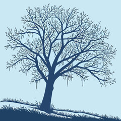 Silhouette of a Large Bare Tree in Winter branches