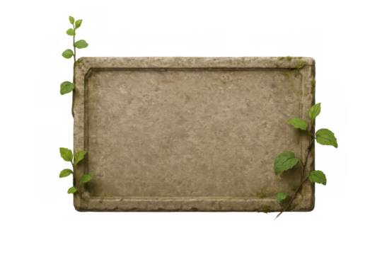 Weathered stone plaque with green growing vines, ancient aged rock frame with moss, transparent background
