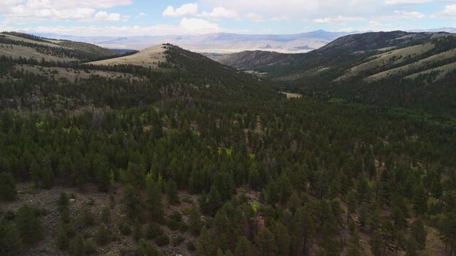 Drone flight over a remote section of the Colorado Rocky Mountains near Poncha Pass, Salida, Colorado with green forests covering the mountains with views stretching to the distance horizon.