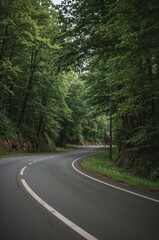 Serene asphalt road winding through a dense, vibrant green forest, creating a picturesque natural tunnel and inviting a peaceful journey into nature's embrace