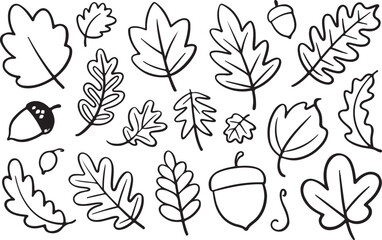 Handdrawn Autumn Leaves and Acorns Collection