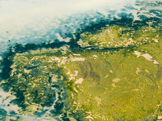 Blooming green water. Green algae polluted in dry lake