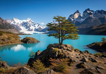 Solitary tree on rocky outcrop overlooking turquoise glacial lake and majestic andes mountains