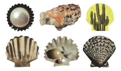 Obraz premium Unique Shells and Pearls Collection on Transparent Background for Creative Projects