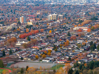 Autumn Suburban Neighborhood in Burnaby, Greater Vancouver, With City Skyline, Construction, and Fall Foliage