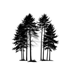 Silhouetted evergreen trees on a pitch-black background, a moody landscape