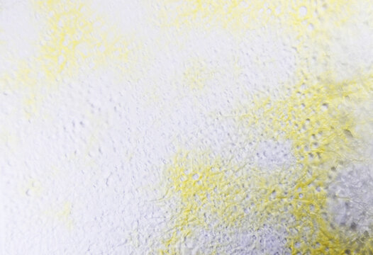 白と黄色の背景_和紙