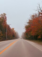 road in autumn forest
