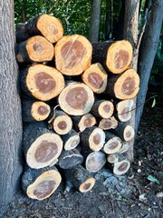 stack of firewood