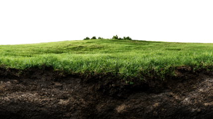 Cross section of green grass and soil layers isolated on transparent background