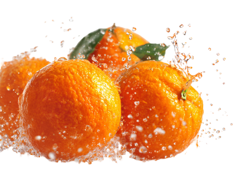 Fresh oranges with water droplets splashing isolated on transparent background