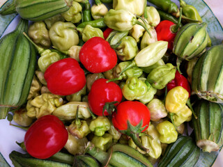 Top view of group of fully ripe red tomatoes, green okra, red garden egg, green pepper in white bowl. Full frame of different colorful vegetables mixture, mix. Home harvest, harvesting time concept.