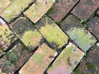 Top View Of Weathered Red Brick Path With Moss And Small Plants