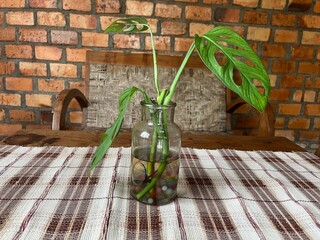 Rustic Wooden Furniture With Green Plant Decoration Against Brick Wall Interior