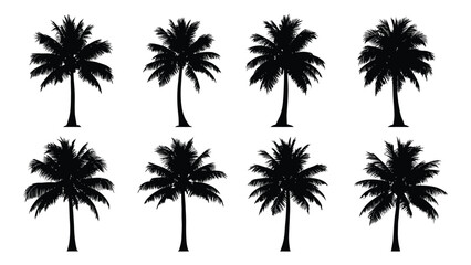 Palm tree silhouettes set isolated on white background, Vector