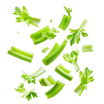 Falling celery slice isolate on transparency background