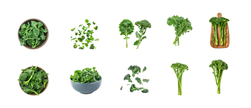 Collection of Broccoli Raab isolate on transparency background - Powered by Adobe