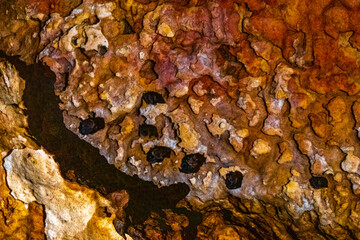 Tropical limestone karst cave rock boulder bat bats Amazonas Brazil.