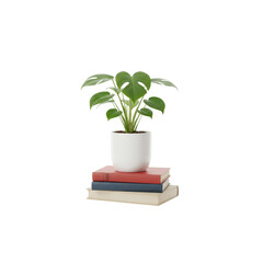 Potted green houseplant or small tree growing leaves and foliage, an isolated object of nature, life, and gardening decoration