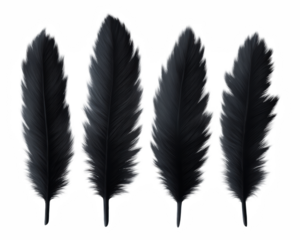 White feather bird isolated pen with graceful purity and mystic glow, symbolic clip art of peace and imagination with clip art, ornate, signs