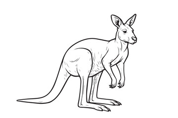 Minimal black and white vector of a kangaroo standing alert, embodying the wild essence, gentle movement, and balanced form of Australia’s unique animal.